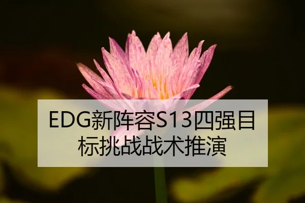 EDG新阵容S13四强目标挑战战术推演